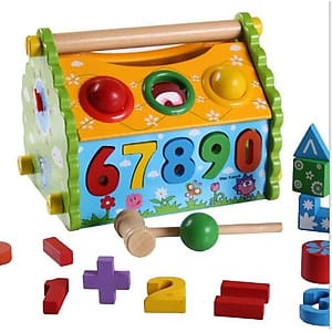 Disassembly Wisdom Baby Number House