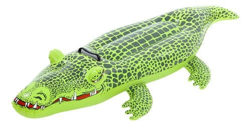 Crocodile rider