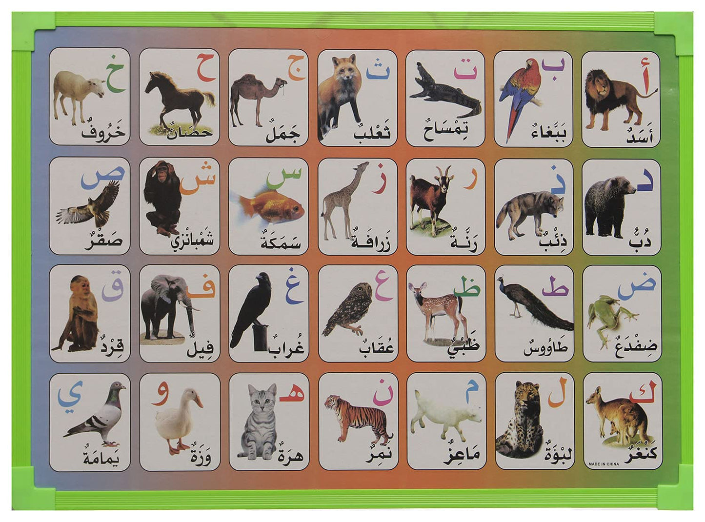 Magnetico 50x35 cm Board with Alphabet in Arabic