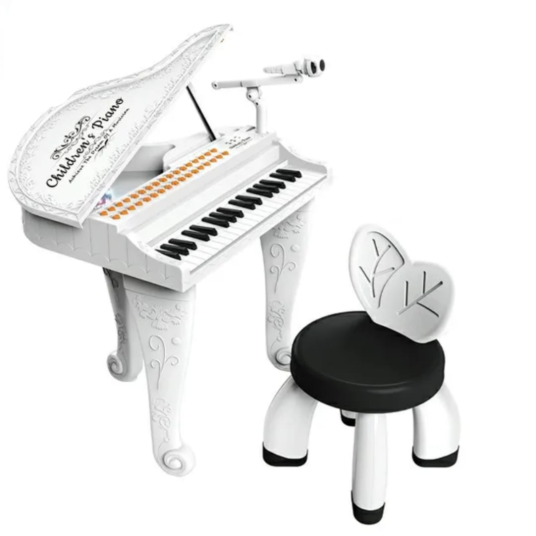 Music electronic organ