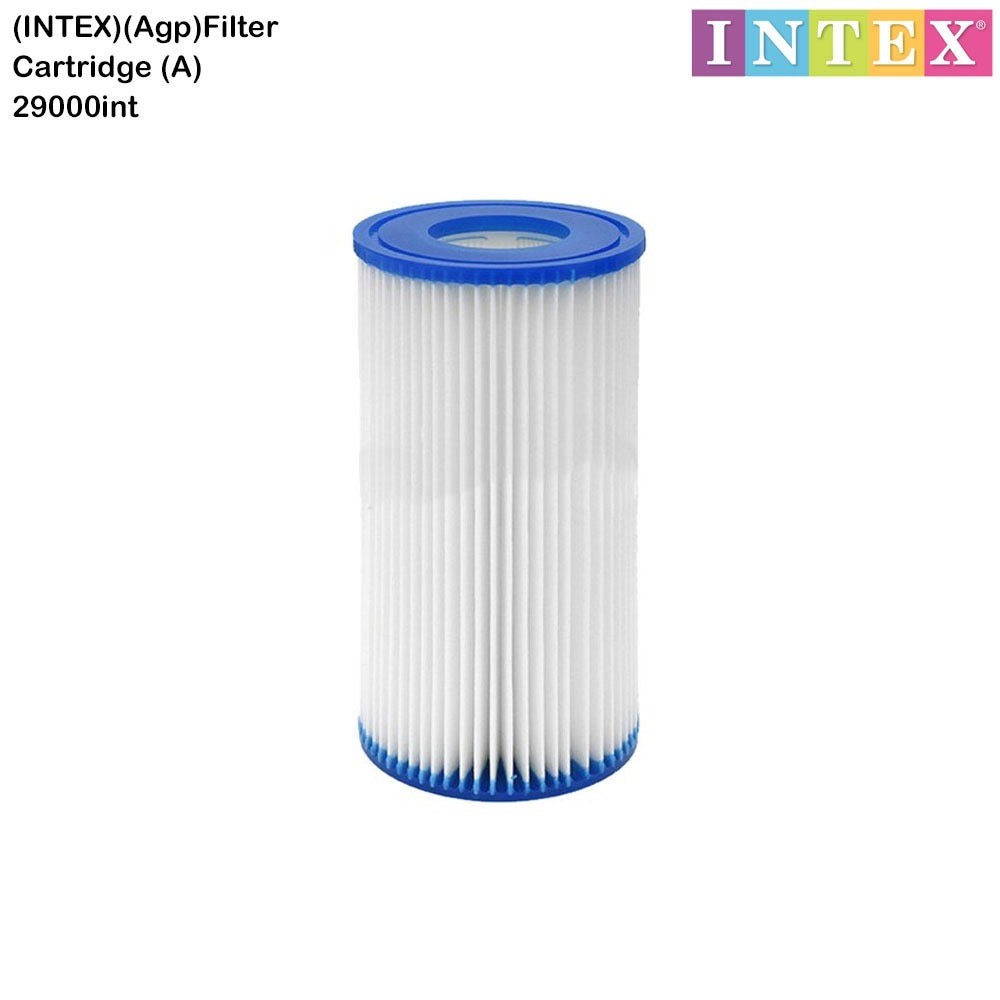 Intex filter cartridge