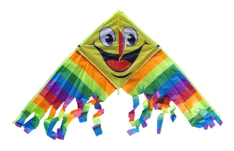 Kite