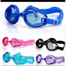 Goggle