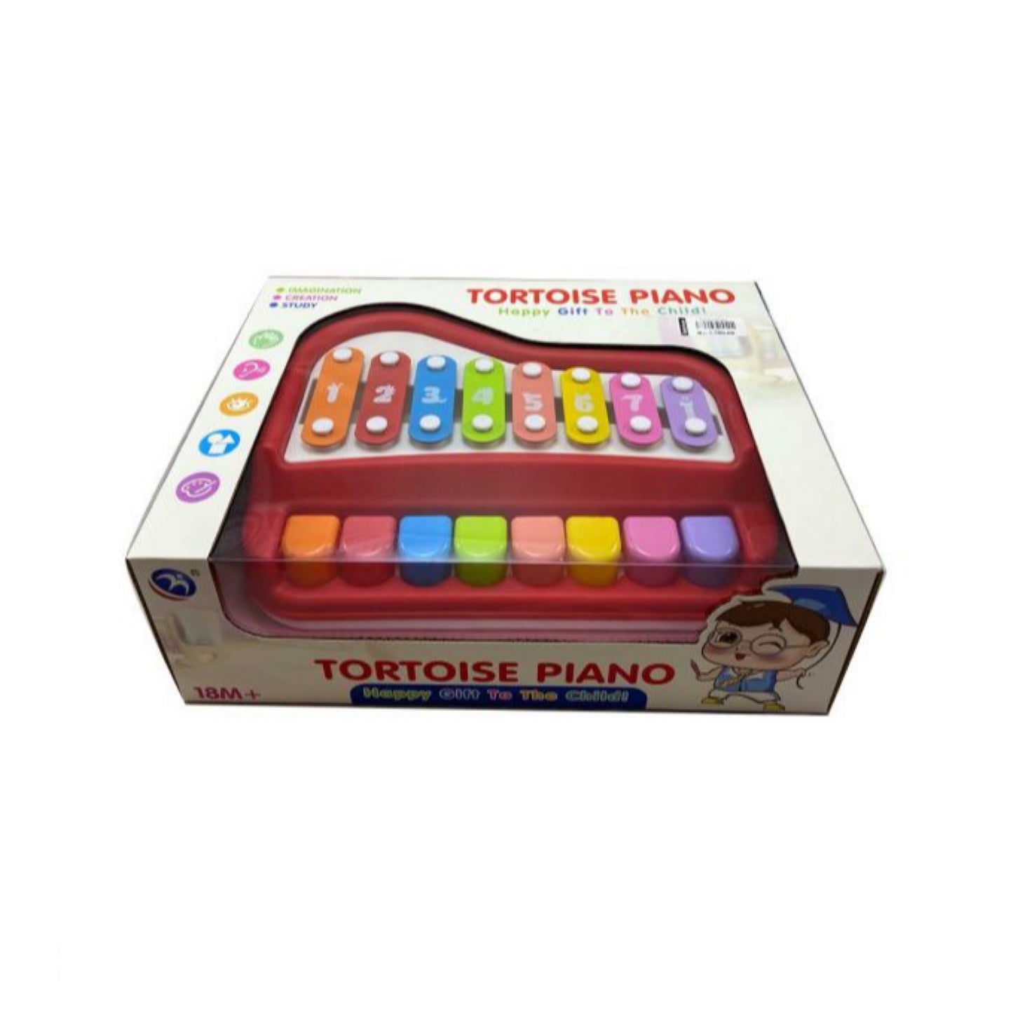 Tortoise Xylophone Music Generator