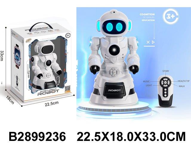 Real mini robot