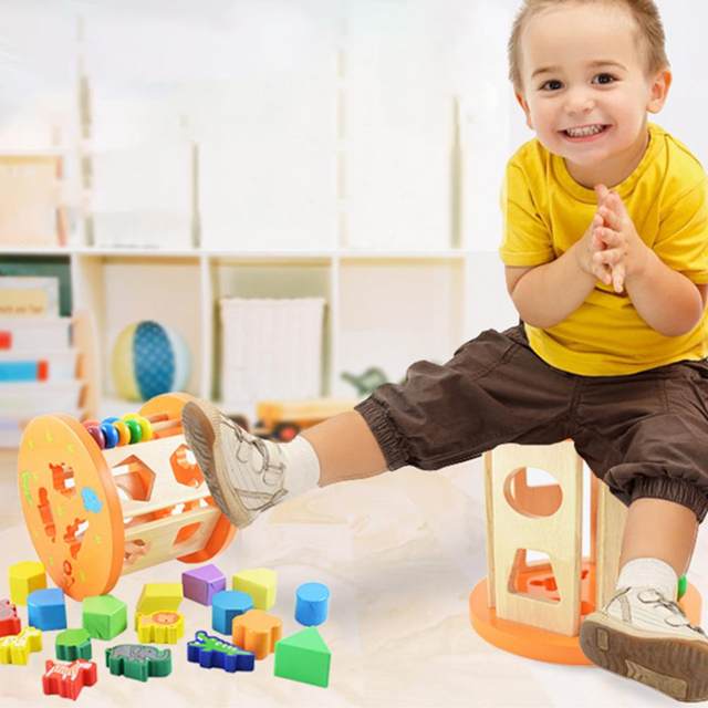 educational Puzzle Shape sorting House