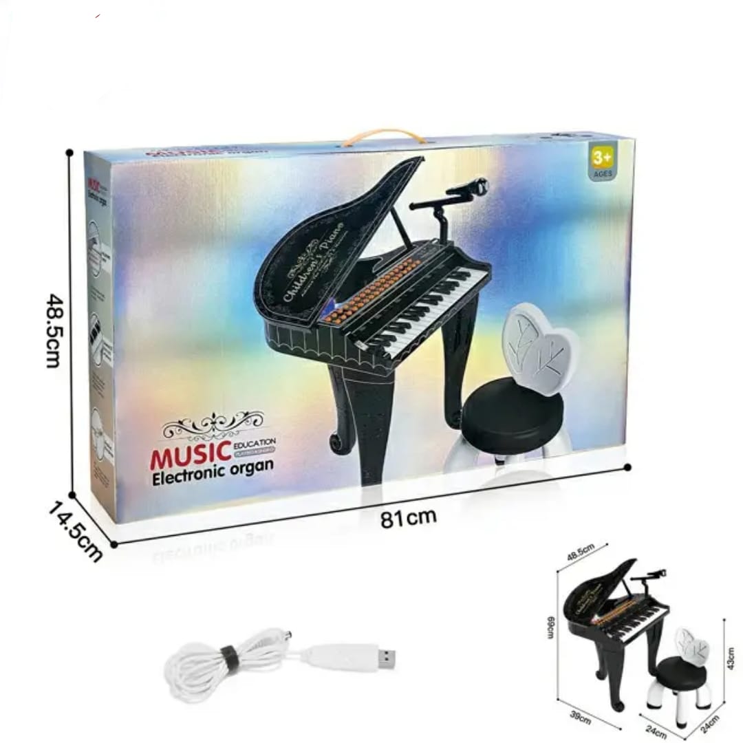 Music electronic organ