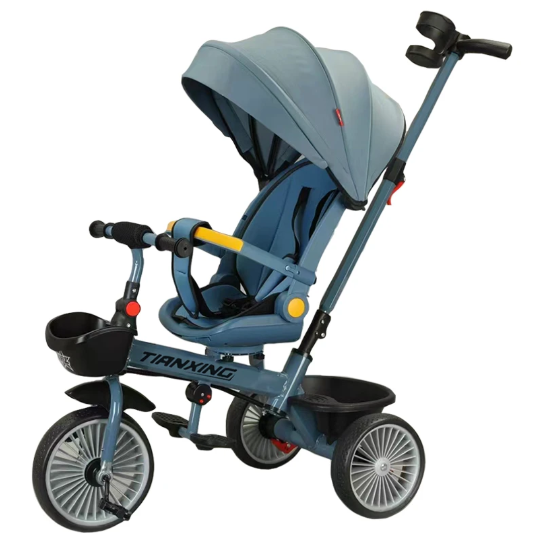 Tricycle with canopy1108042