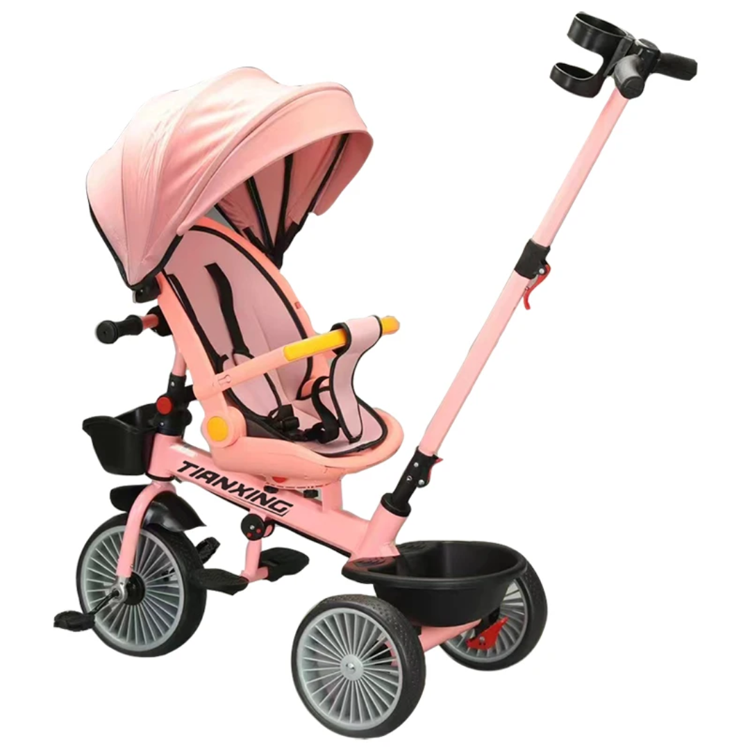Tricycle with canopy1108042