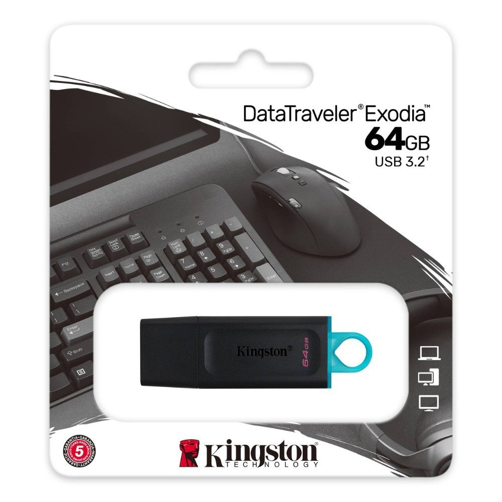 KINGSTON FLASH MEMORY