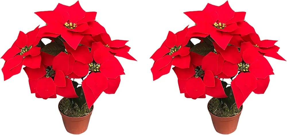 Christmas flower decoration