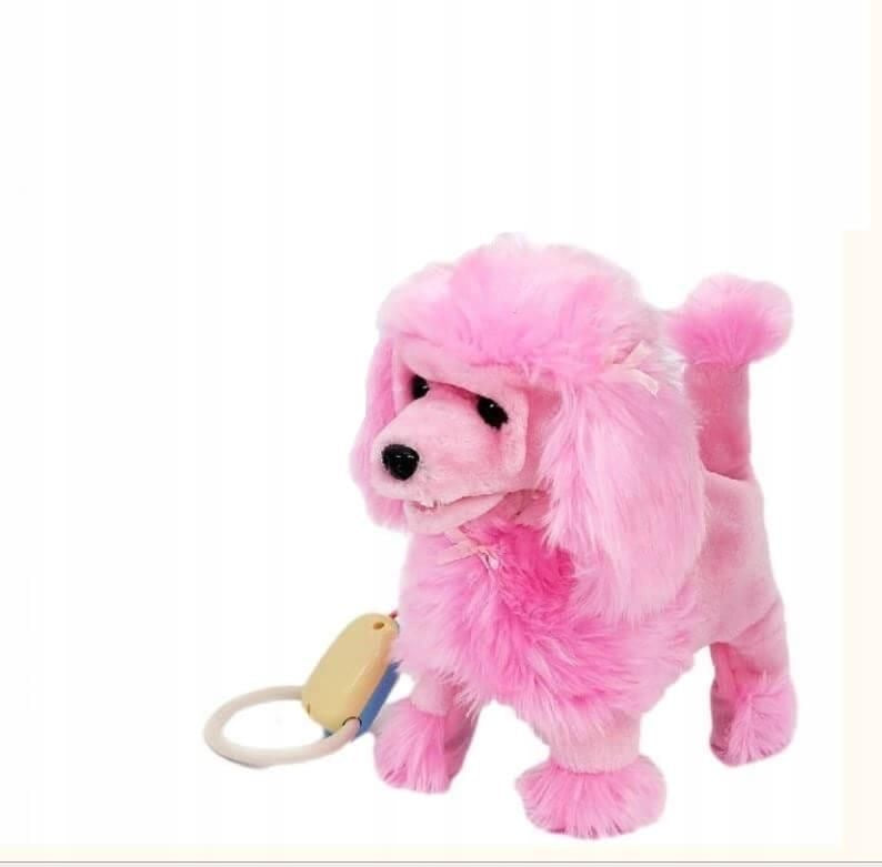 Metro pet poodle