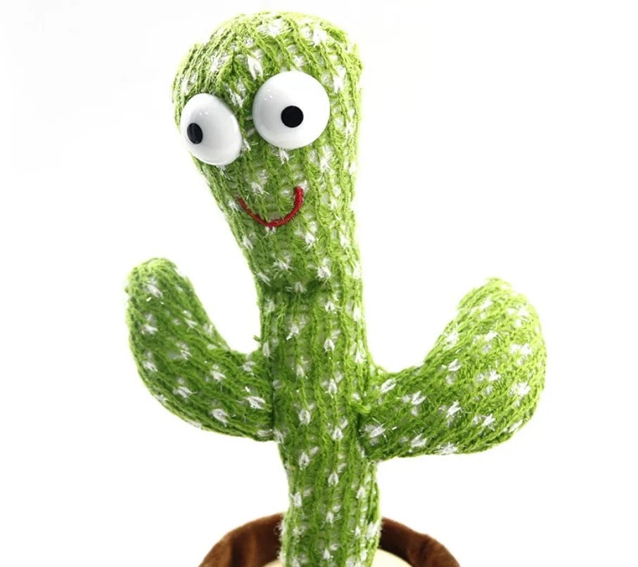 Dancing Cactus