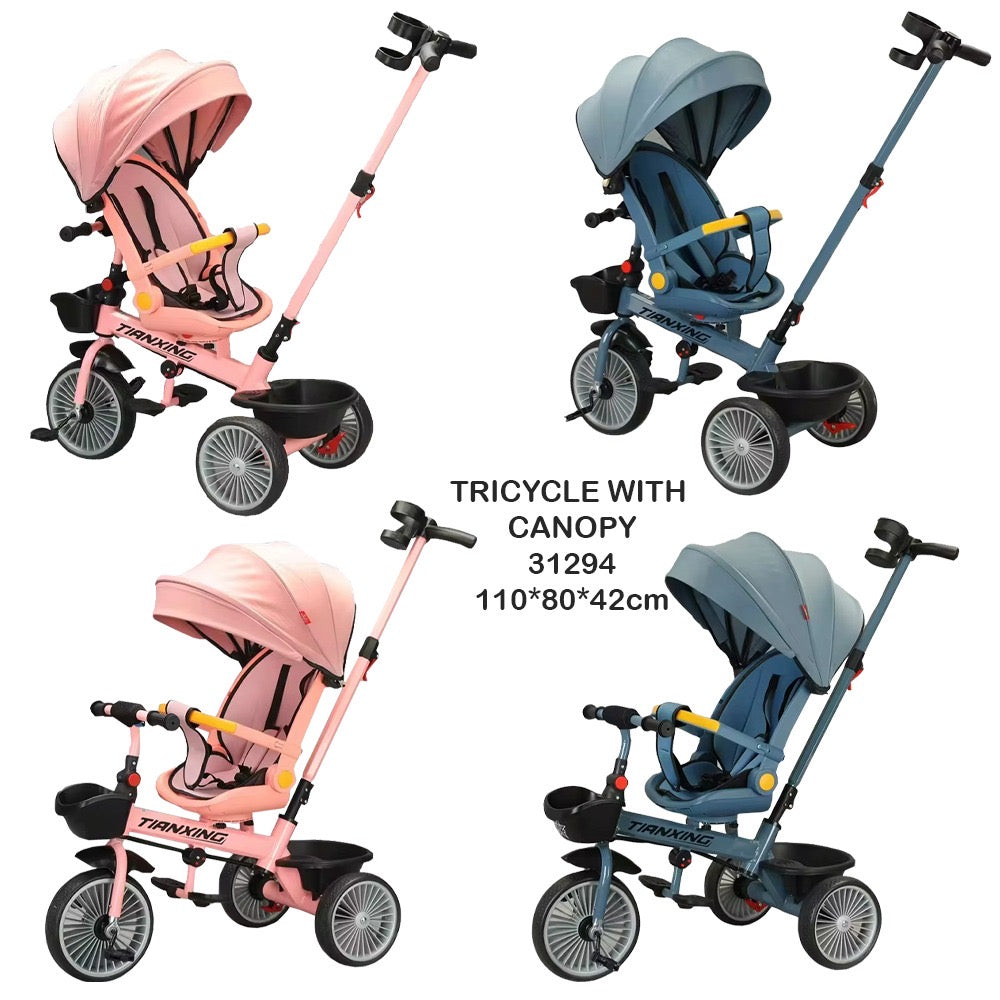 Tricycle with canopy1108042