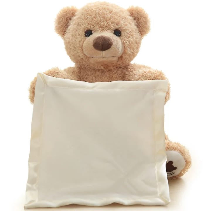 Soft teddy bear plush