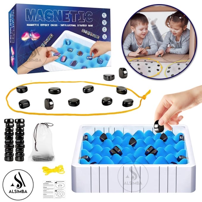 Magnetic toy