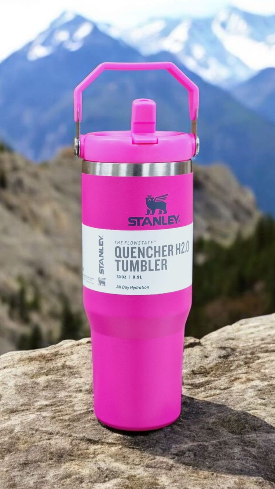 Stanley bottle