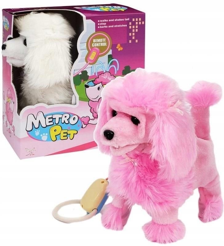 Metro pet poodle