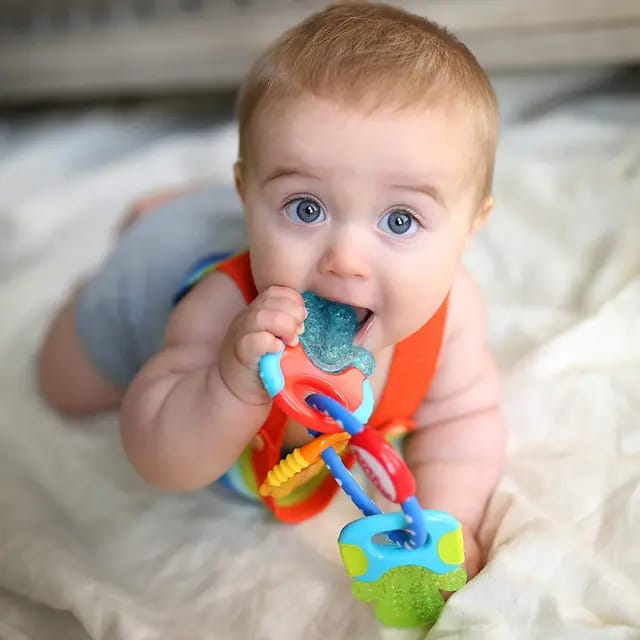 Baby Teething Chewing Toy