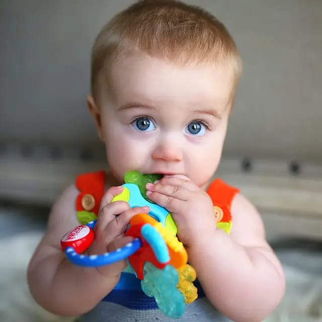 Baby Teething Chewing Toy