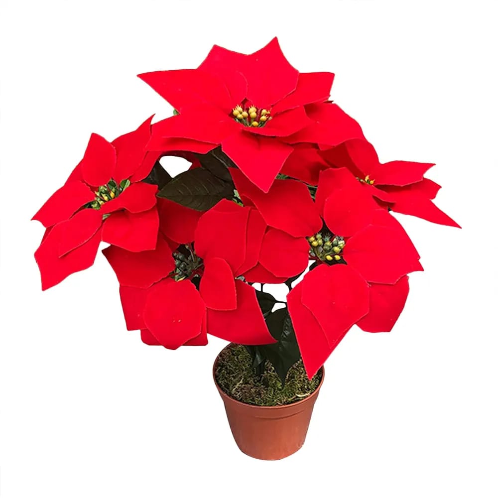 Christmas flower decoration