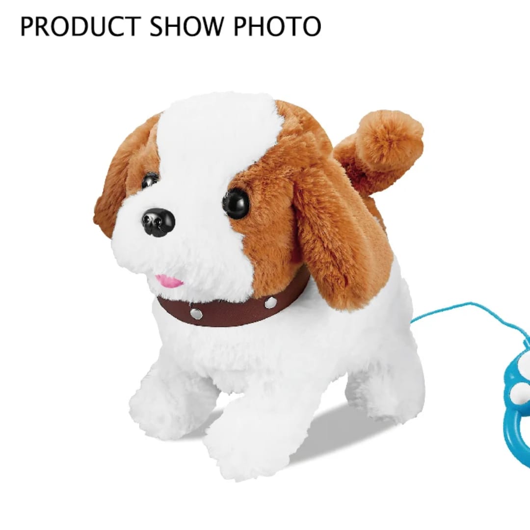 Pet play set