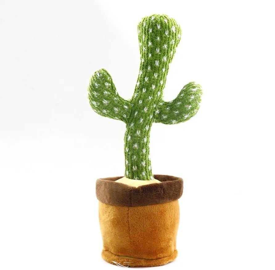 Dancing Cactus