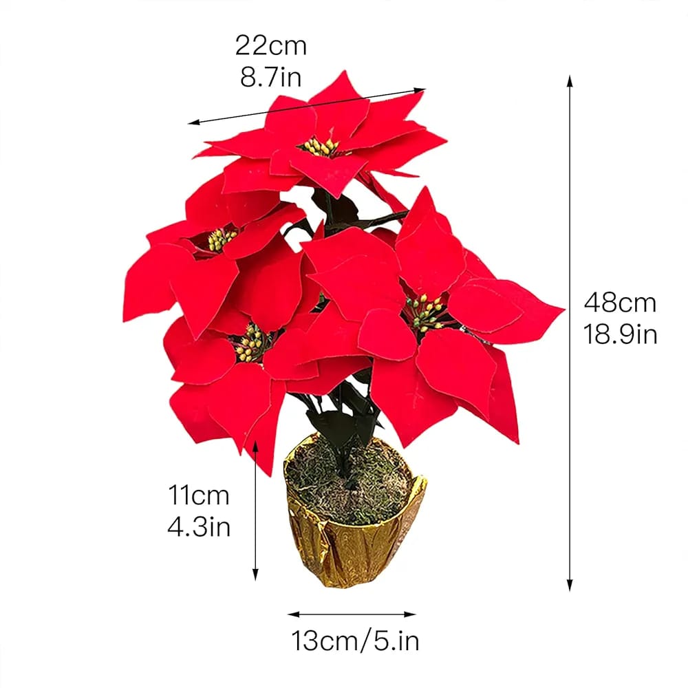 Christmas flower decoration