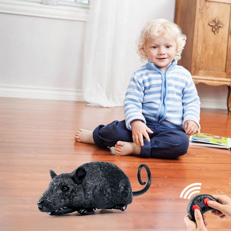 Remote control rat – Hazimeh Toys
