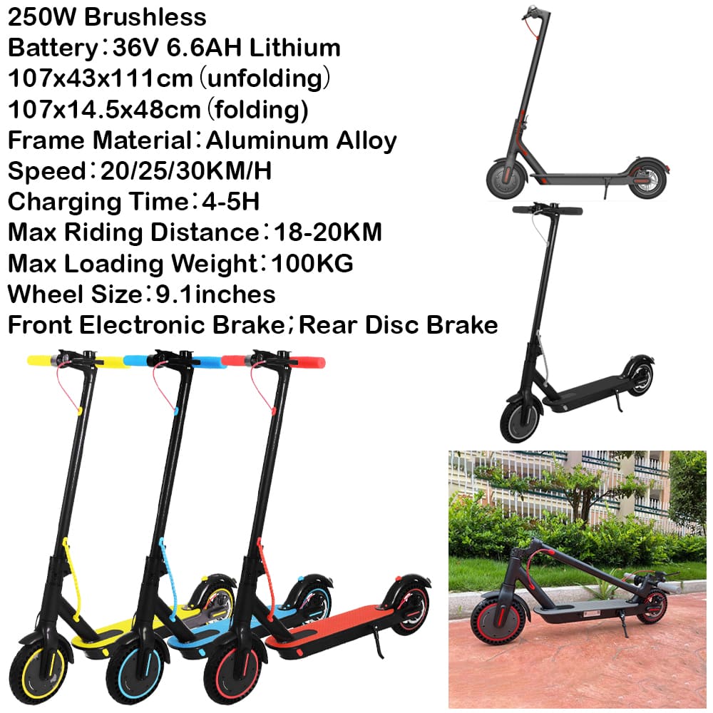 Electric Scooter