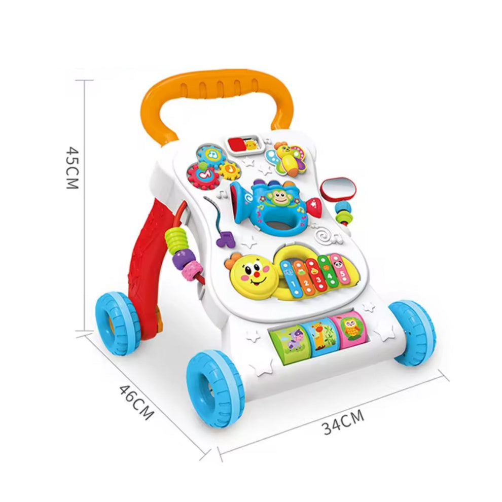 Multi function Walker