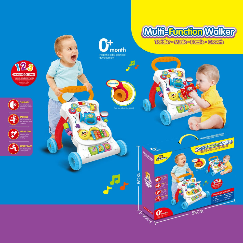 Multi function Walker