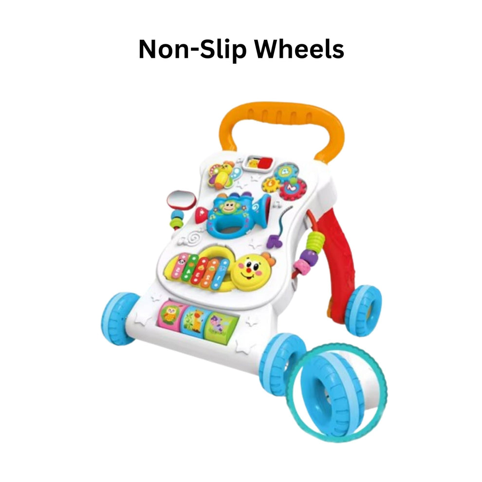 Multi function Walker