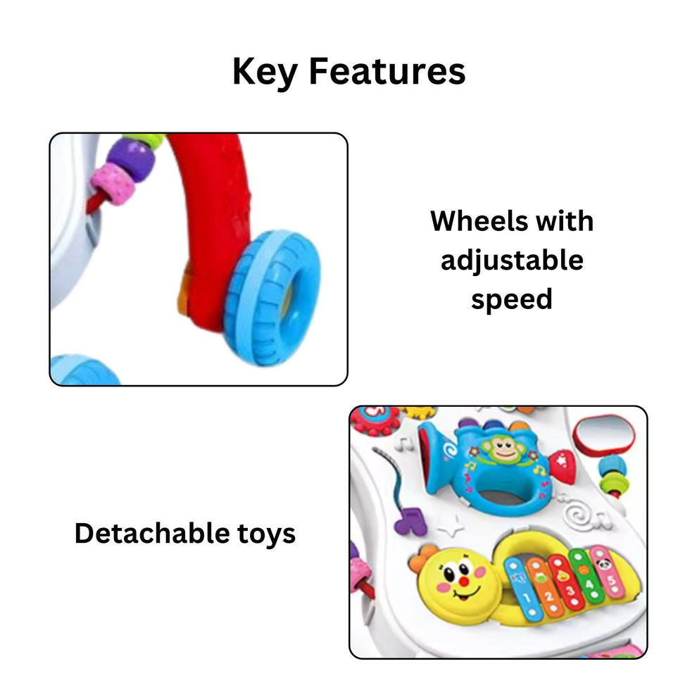 Multi function Walker