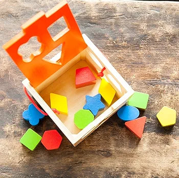 Wooden Intelligence Cage Sorting