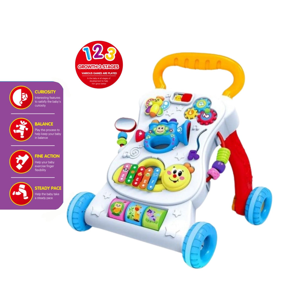 Multi function Walker