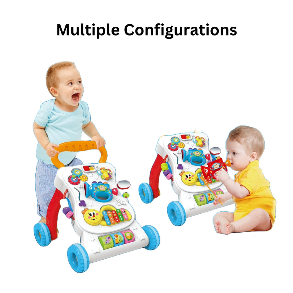 Multi function Walker