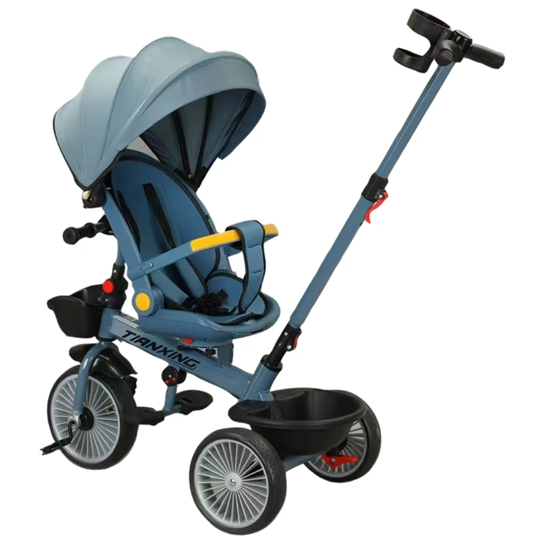 Tricycle with canopy1108042